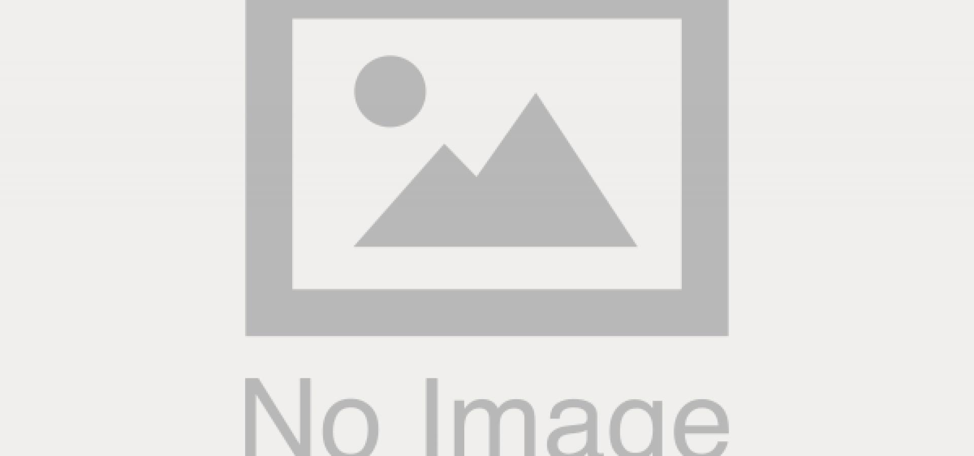 2046350P1180565.jpg